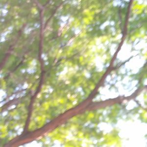 Meet your Posher, Jean